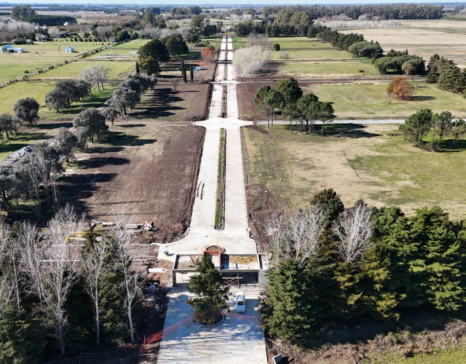 Render de La Amelia, desarrollo inmobiliario residencial con lotes en entorno natural, forestación, espacios verdes y propuesta de vida tranquila en contacto con la naturaleza.