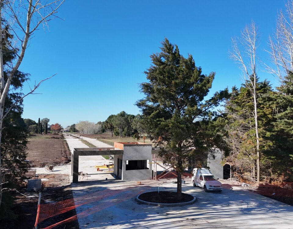 Render de La Amelia, desarrollo inmobiliario residencial con lotes en entorno natural, forestación, espacios verdes y propuesta de vida tranquila en contacto con la naturaleza.